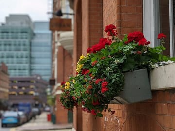 Manchester City Highlights: 3-Hour Guided Orientation Tour