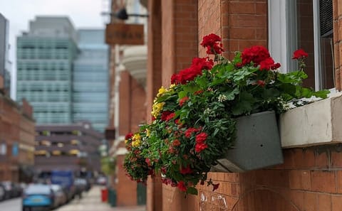 Manchester City Highlights: 3-Hour Guided Orientation Tour