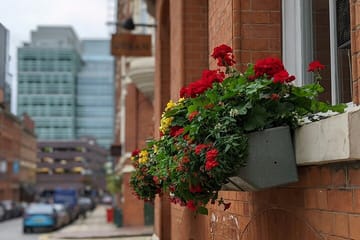 Manchester City Highlights: 3-Hour Guided Orientation Tour