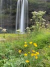 - PRIVATE TOUR - 6 Day Family Summer Tour 10