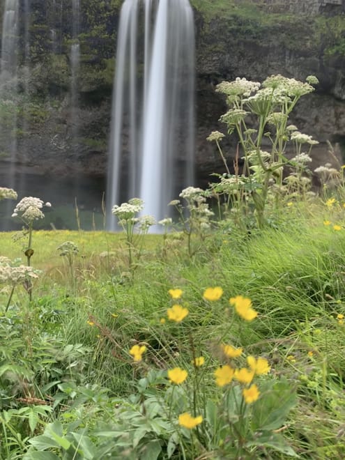 - PRIVATE TOUR - 6 Day Family Summer Tour 10