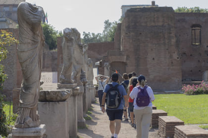 Colosseum, Roman Forum and Palatine Hill Guided tour