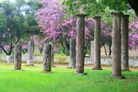 Full Day Private Tour in Ancient Olympia 5
