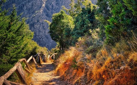 8-Day Hiking Tour in Southwest Crete from Chania