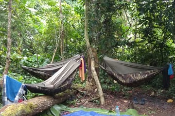 Four-Day Trekking Adventure in Ba Be, Vietnam