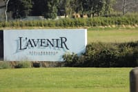 Full Day Wine Tour in Stellenbosch with Shine The Way Tours 8