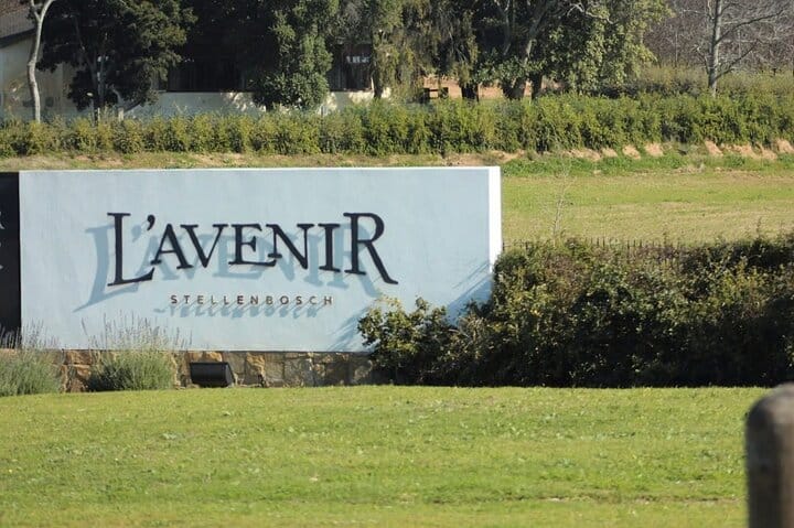 Full Day Wine Tour in Stellenbosch with Shine The Way Tours 8