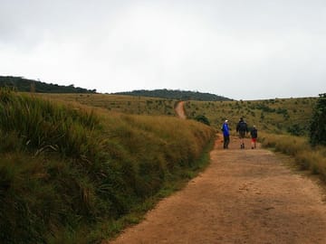 Horton Plains Day Tour from Kandy with Nuwara Eliya Visit