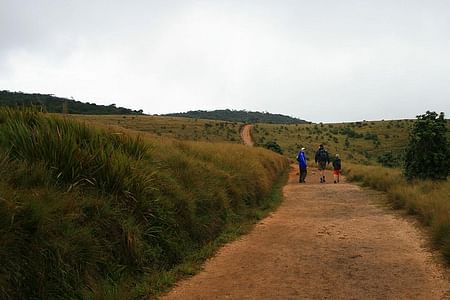 Horton Plains Adventure: Explore Sri Lanka's Scenic Wildlife Haven