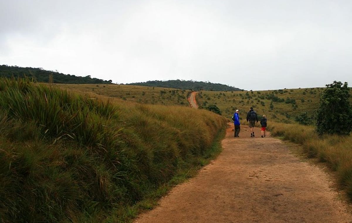 Hortan Plains Tour From Kandy
