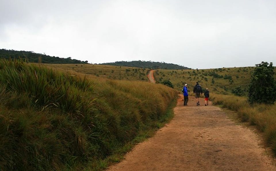 Horton Plains Day Tour from Kandy with Nuwara Eliya Visit