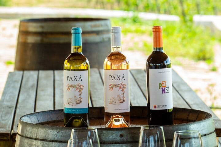 Albufeira Wine Tasting: Boutique Winery Tour & Historic Silves 4