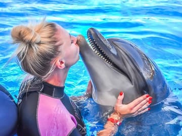 Premium Dolphin Photo Session in Pool Interaction & Transfer – Hurghada
