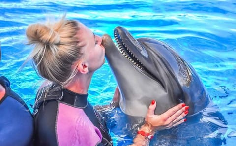 Premium Dolphin Photo Session in Pool Interaction & Transfer – Hurghada