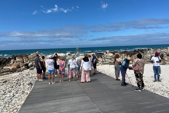 Cape Agulhas, Full-Day Private Tour & Wine Tasting from Cape Town