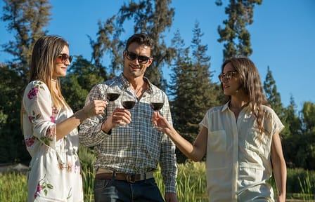 Private Surf and Wine Tour Near Santiago, Chile