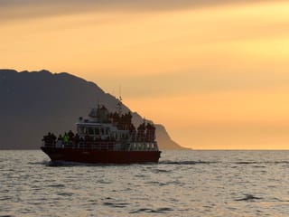 Akureyri Classic Whales in the Midnight Sun, photo 15