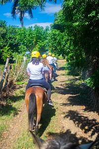 Horseback riding adventure through sugarcane fields
