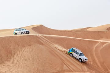 Sunrise Desert Safari with Wildlife Experience from Dubai