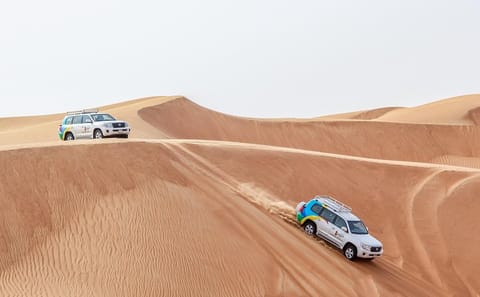 Sunrise Desert Safari and Wildlife Tour in Dubai