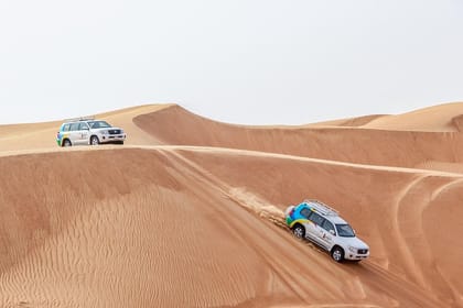 Sunrise Desert Safari with Wildlife Experience from Dubai