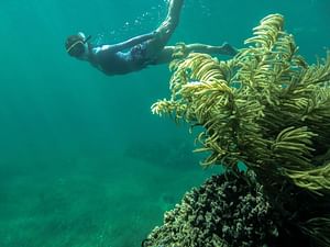 Isla Mujeres & Snorkeling Tour from Cancun or Riviera Maya