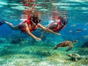 Puerto Morelos Reef Snorkeling Experience