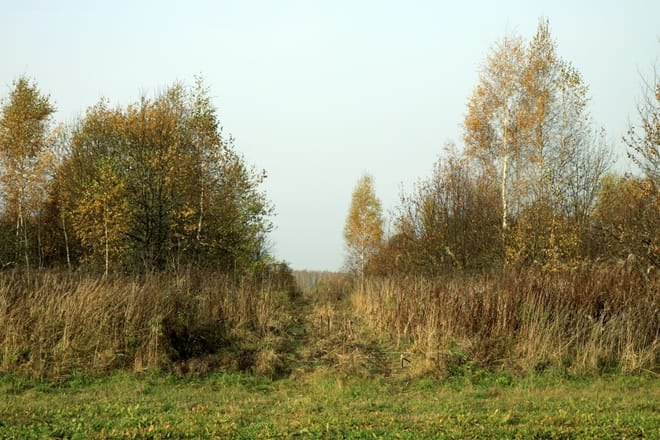 Test Experience photo 2