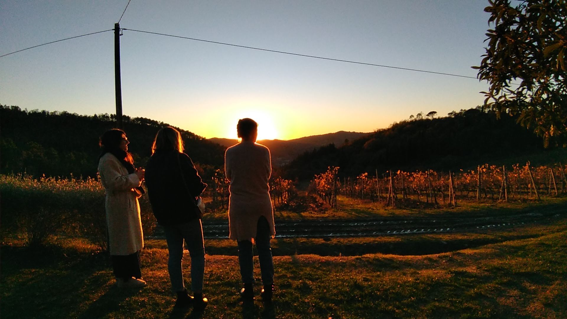 Tourists enjoying the sunset in a vineyard