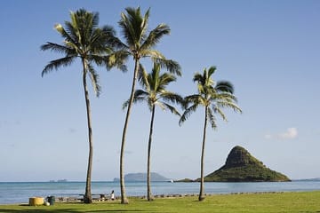 Private Circle Island Tour Across Oahu Paradise