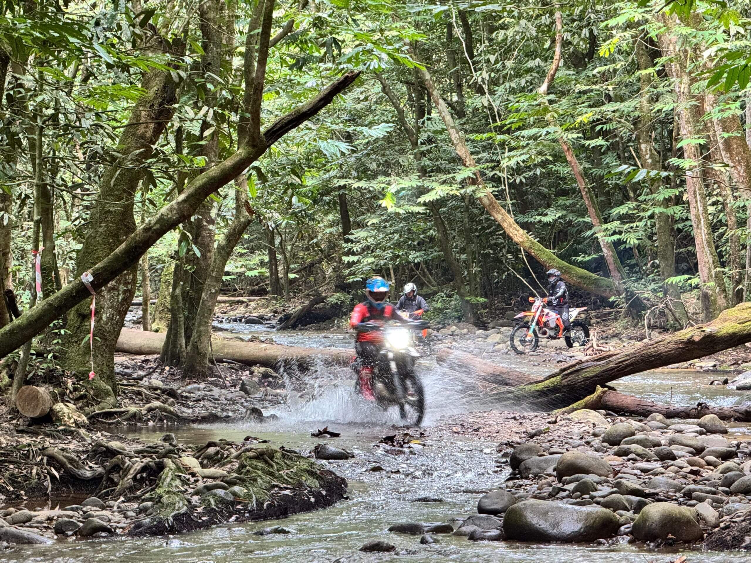 Adventurers navigate a rocky river trail in a dense Malaysian jungle, showcasing challenging outdoor terrain. Image for JomHiking's wild exc