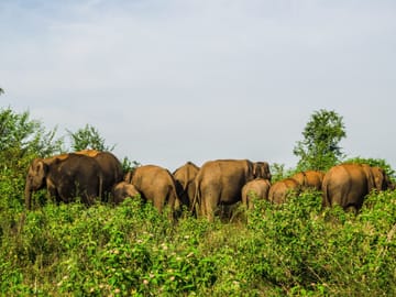 6 Day Tanzania Big Five safari