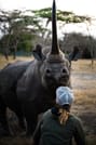 Nanyuki Overnight Safari - Ol Pejeta Conservancy  9