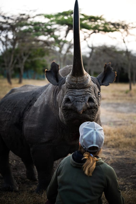 Nanyuki Overnight Safari - Ol Pejeta Conservancy  9