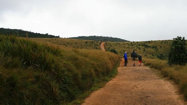 Hortan Plains & Nuwara Eliya Tour (German & English)
