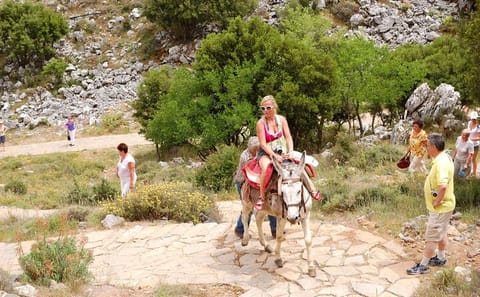 Private Day Tour to Zeus Cave and Kera Monastery from Chania