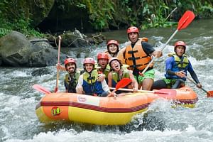 Private Small Group Ubud Rafting in Ayung River