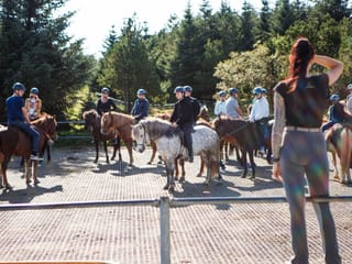 Lava Tour - Horseback Riding through the Lava Fields, photo 30