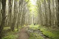 4-Days and 3 Nights Discovery Ushuaia with Airfare from Buenos Aires 9