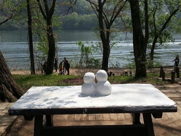 Private Day Tour to Nami Island and Seoul Attractions