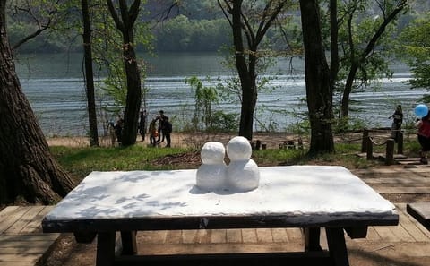 Private Day Tour to Nami Island and Seoul Attractions