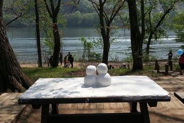 Private Day Tour to Nami Island and Seoul Attractions