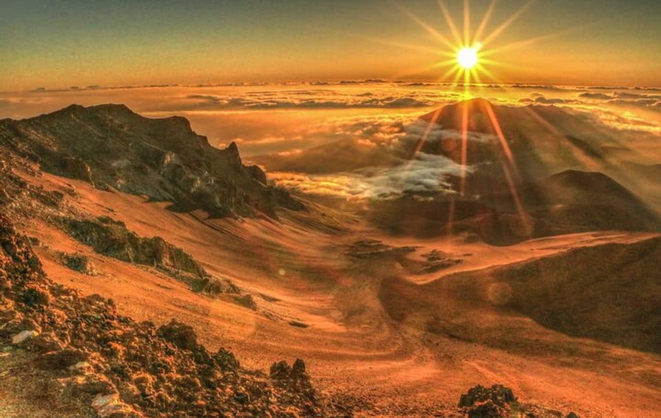 All Inclusive Full Day Tour in Saranda Forest from Kolkota