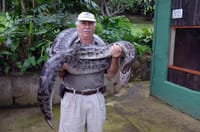 Durban City Tour and Phezulu Cultural Village  (2A) 5