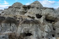 La Leona Petrified Forest Hiking Tour from El Calafate 8