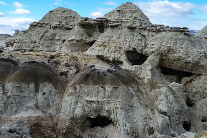 La Leona Petrified Forest Hiking Tour from El Calafate 8