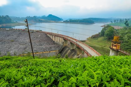 Coastal Serenity: Backwaters, Tea Estates & Marari Beach