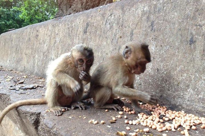 Khao Lak : Full-Day Temple Tour Including Dragon Cave