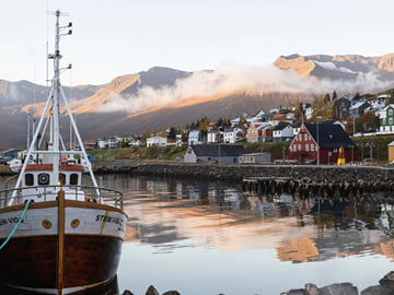 Capture the essence of Icelandic coastal life