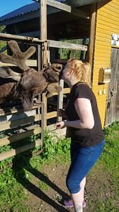 Hirvikartano Elämyksellinen kahvihetki Hirvikartanolla Jämsässä Jämsä